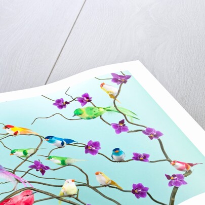 Fake birds on branches by Assaf Frank